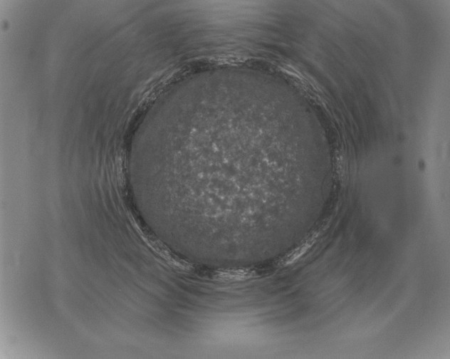 X0000076080757200610152252