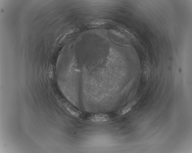 X0000076080758200610152252