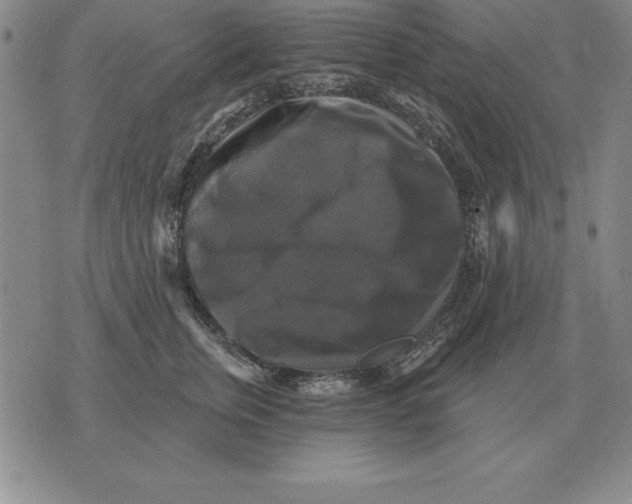 X0000076080759200610152252