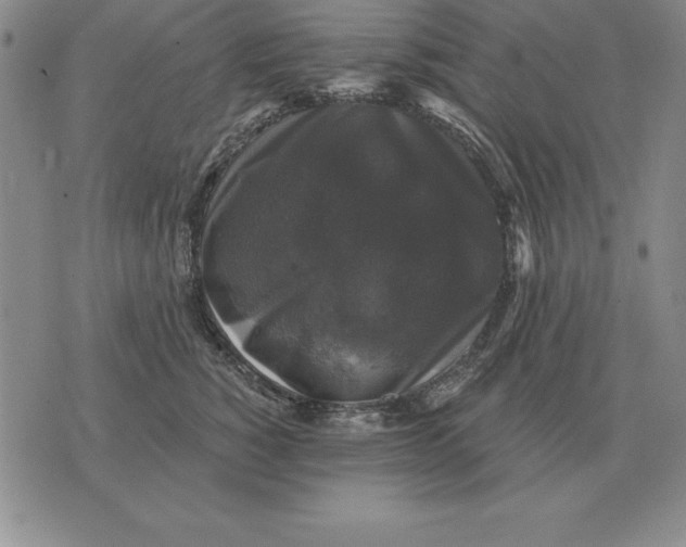 X0000076080760200610152252