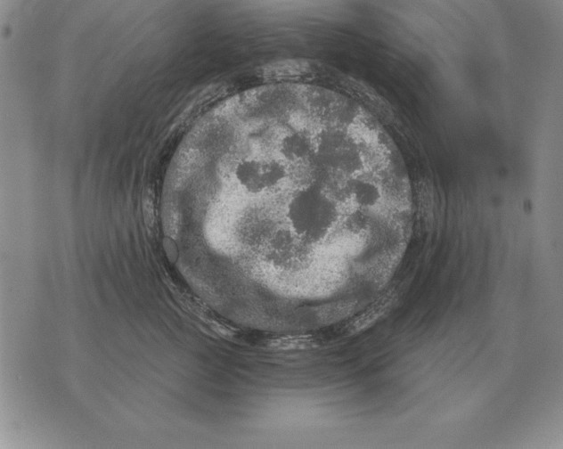 X0000076080761200610152252