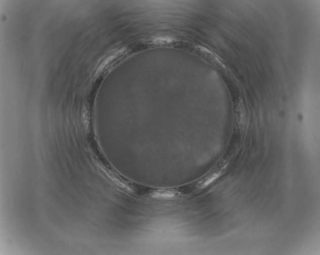 X0000076080762200610152252