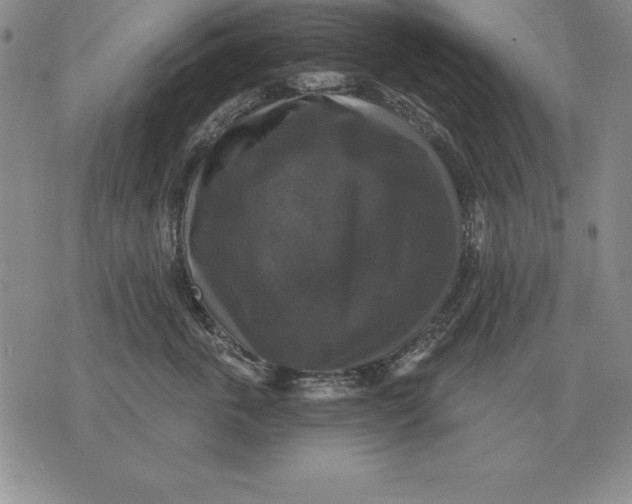 X0000076080763200610152252