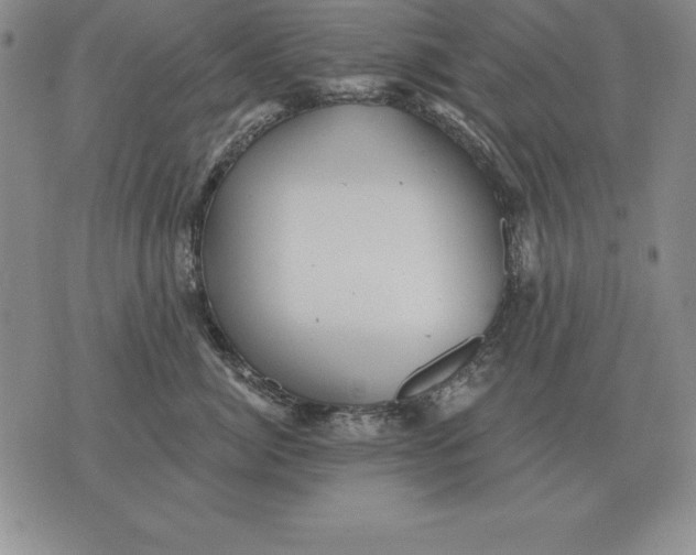 X0000076080764200610152252