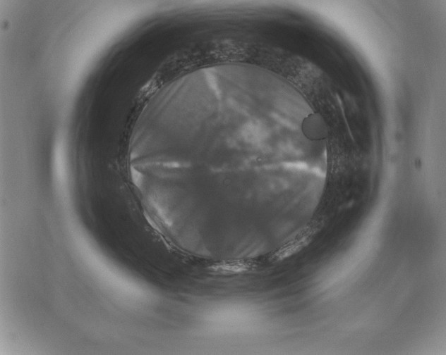 X0000076080765200610152252