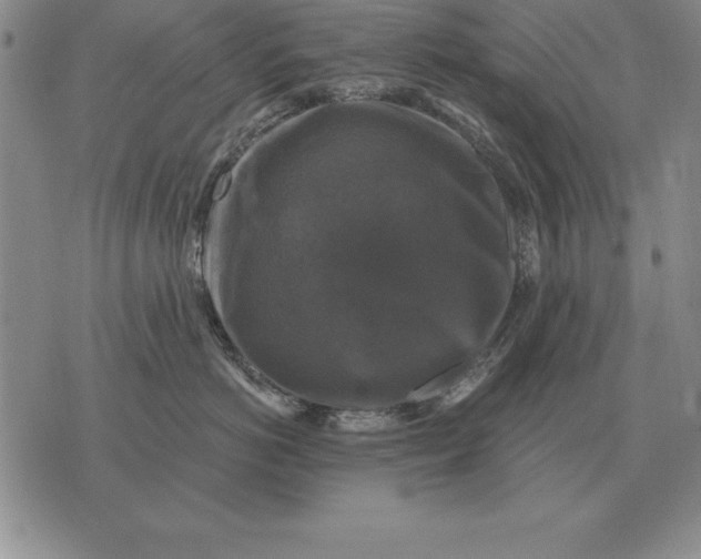 X0000076080766200610152252