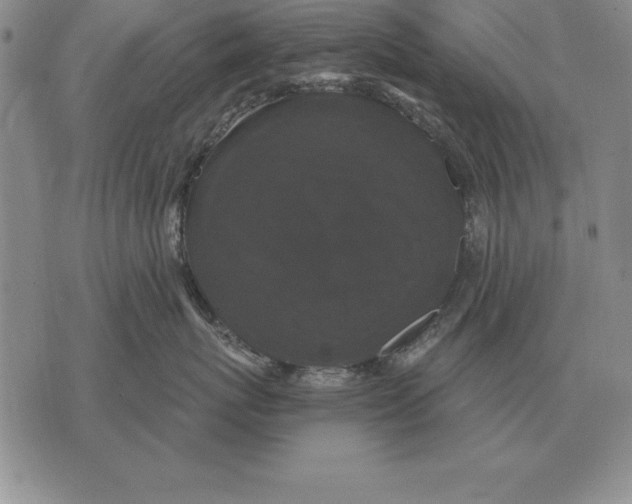 X0000076080767200610152252