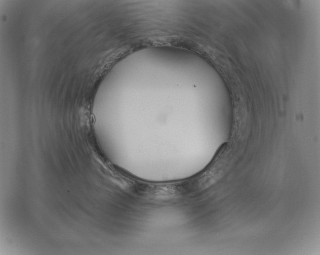 X0000076080768200610152252