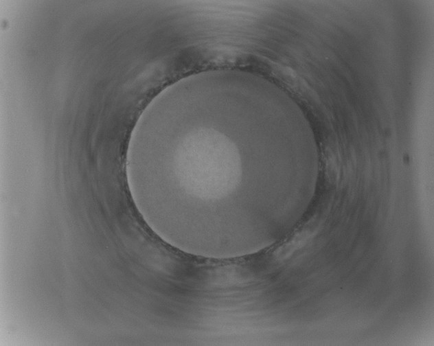 X0000076080769200610152252