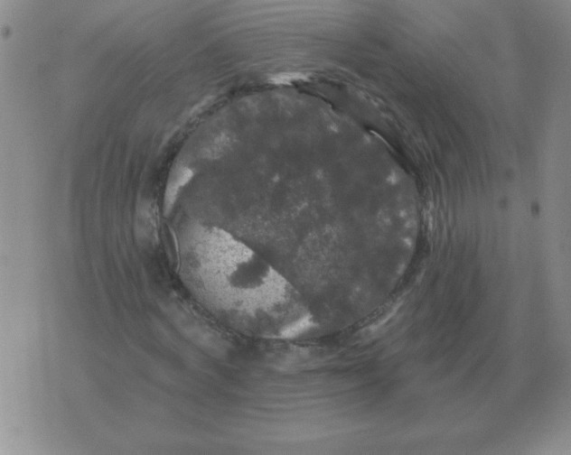 X0000076080772200610152252