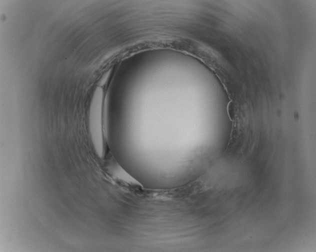 X0000076080773200610152252