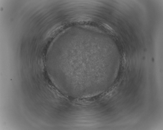 X0000076080774200610152252