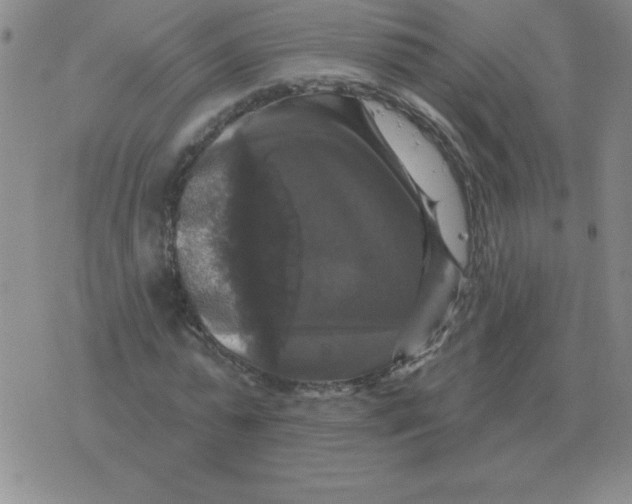 X0000076080775200610152252