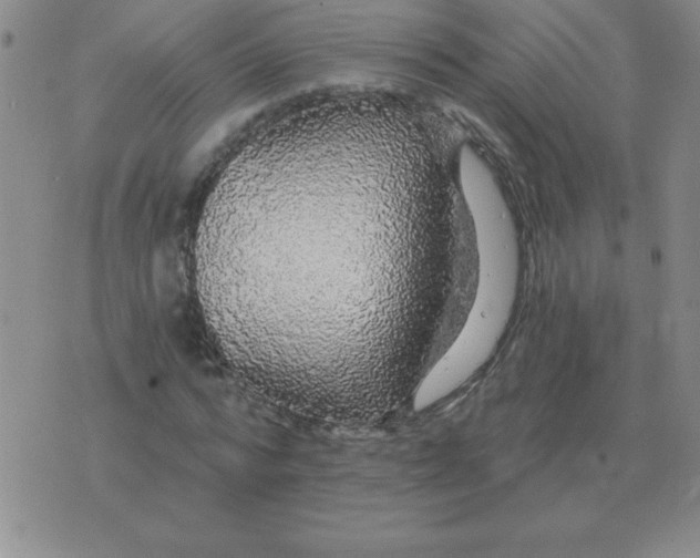 X0000076080776200610152252