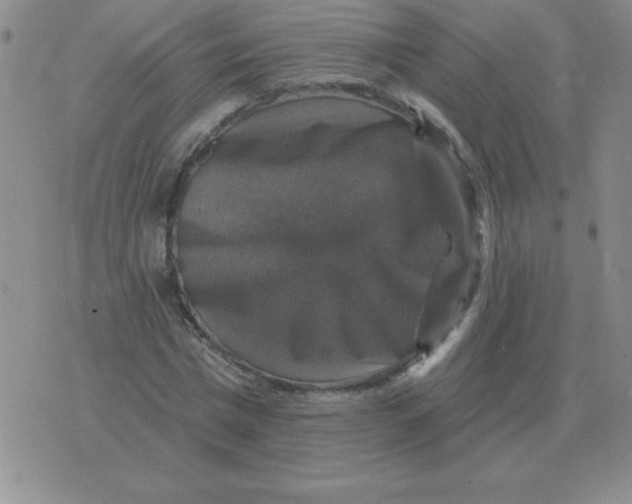 X0000076080777200610152252