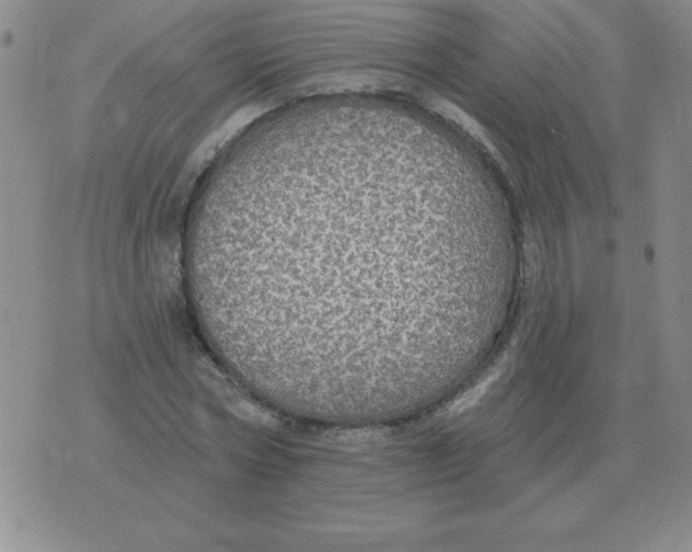 X0000076080778200610152252