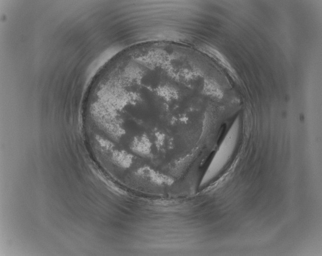 X0000076080780200610152252