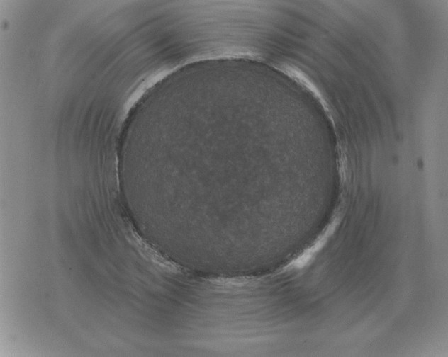 X0000076080781200610152251