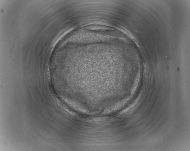 X0000076080782200610152251