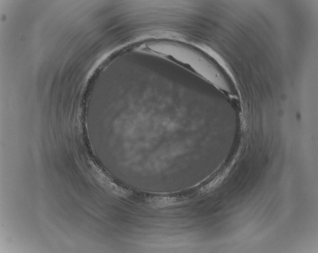 X0000076080783200610152251