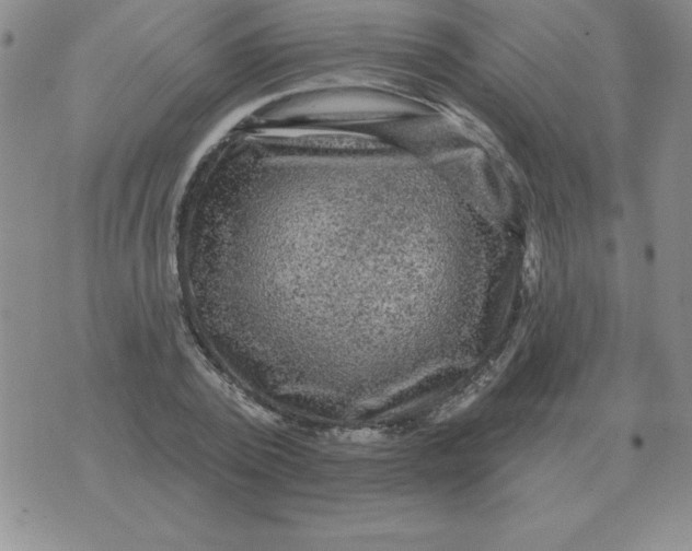 X0000076080784200610152251