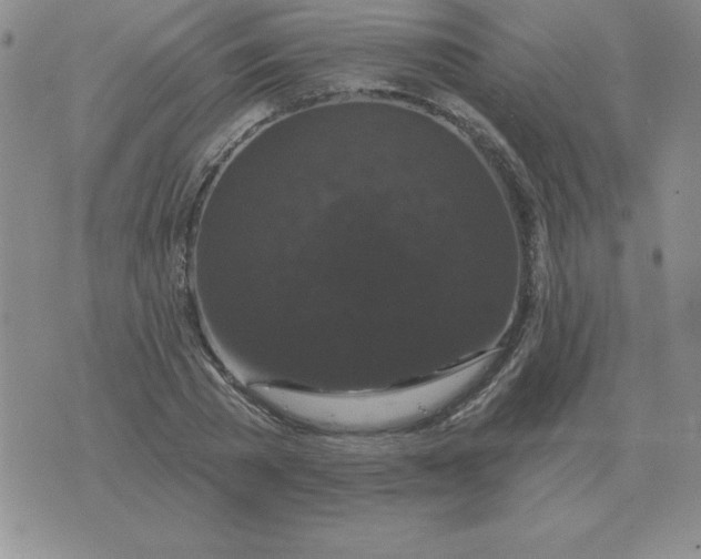 X0000076080785200610152251