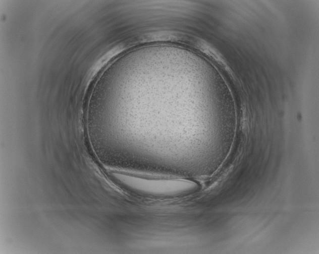 X0000076080786200610152251