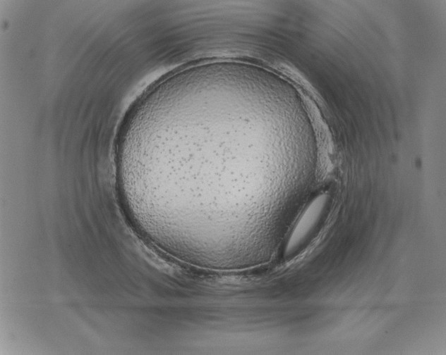 X0000076080787200610152251