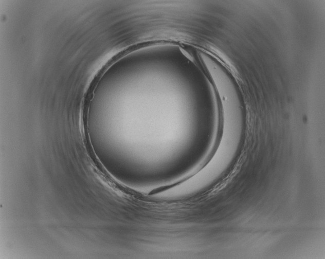 X0000076080788200610152251