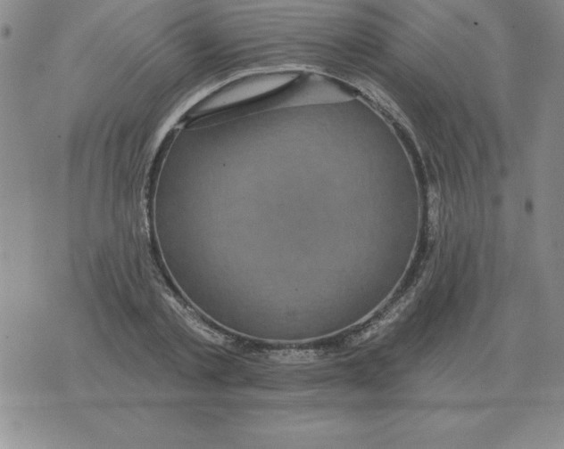 X0000076080789200610152251