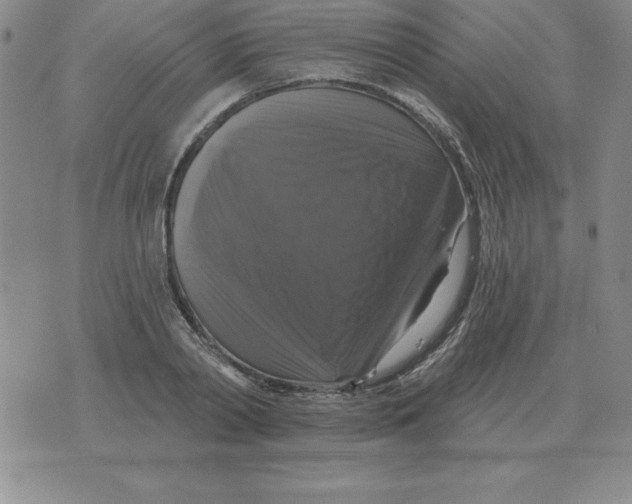 X0000076080790200610152251