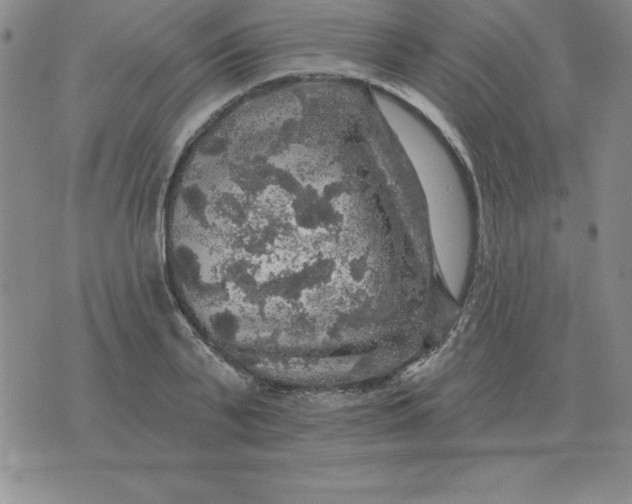 X0000076080791200610152251