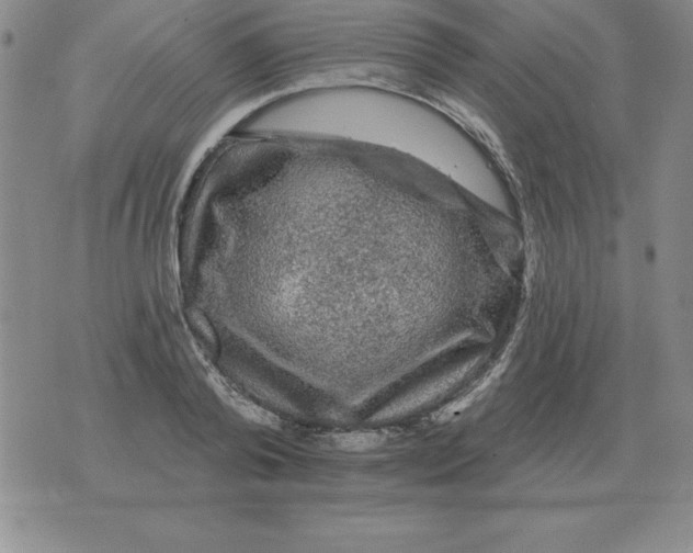 X0000076080792200610152251