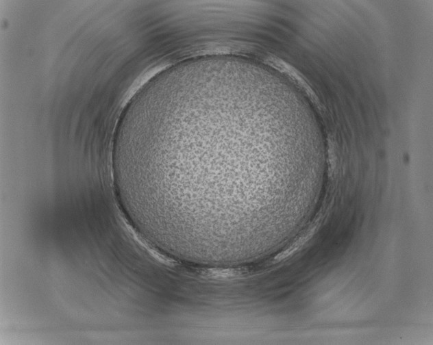 X0000076080794200610152251