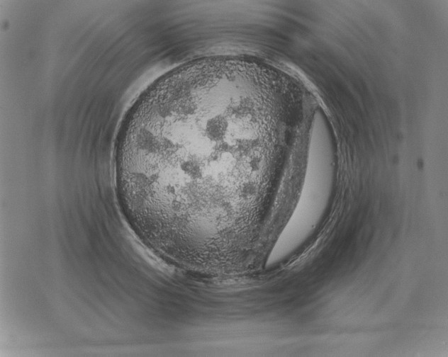 X0000076080795200610152251