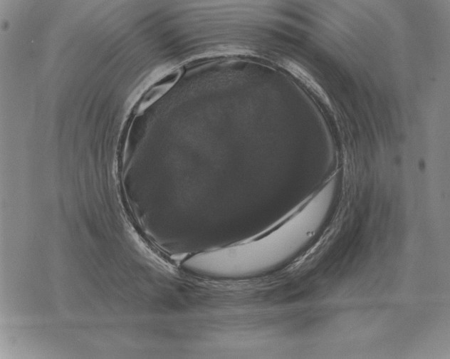 X0000076080797200610152251