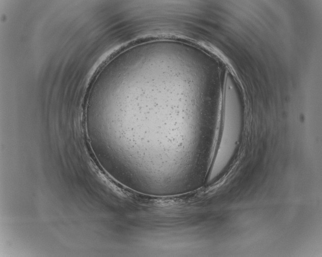 X0000076080799200610152251