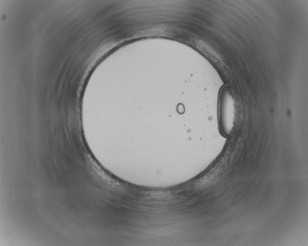 X0000076080800200610152251