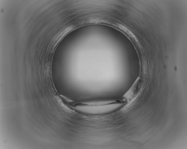 X0000076080801200610152251