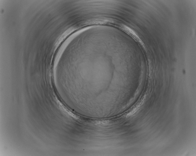 X0000076080802200610152251