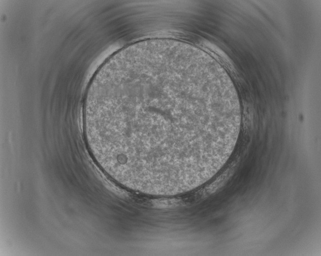 X0000076080804200610152251