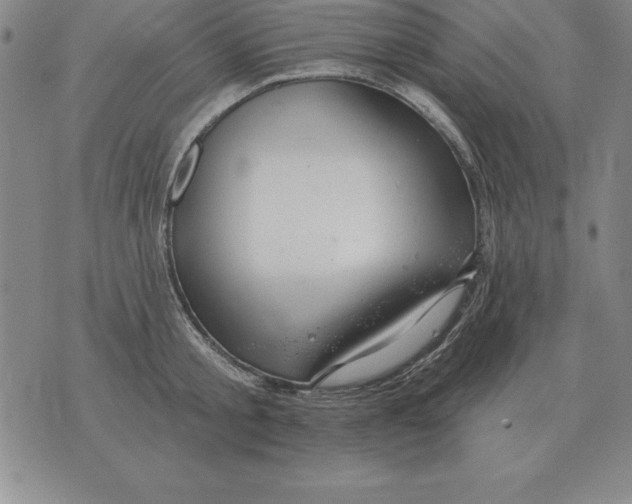 X0000076080805200610152251