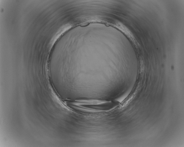 X0000076080806200610152251