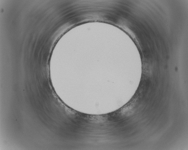 X0000076080807200610152251