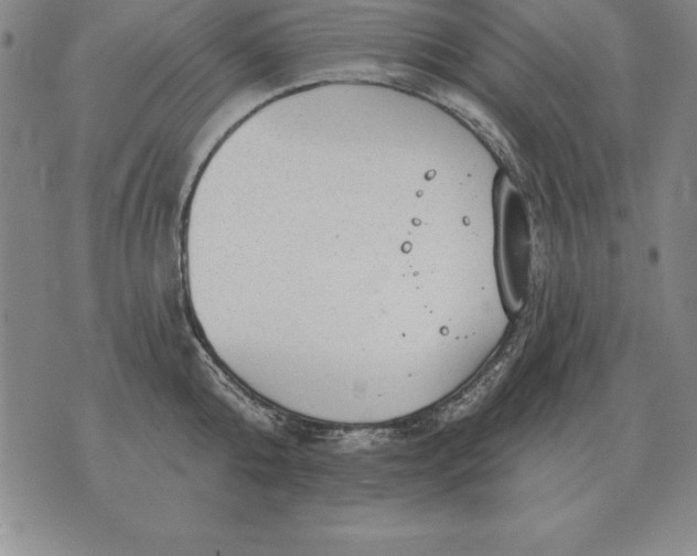 X0000076080808200610152251