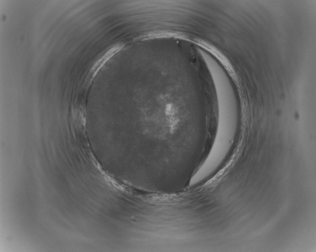 X0000076080809200610152251