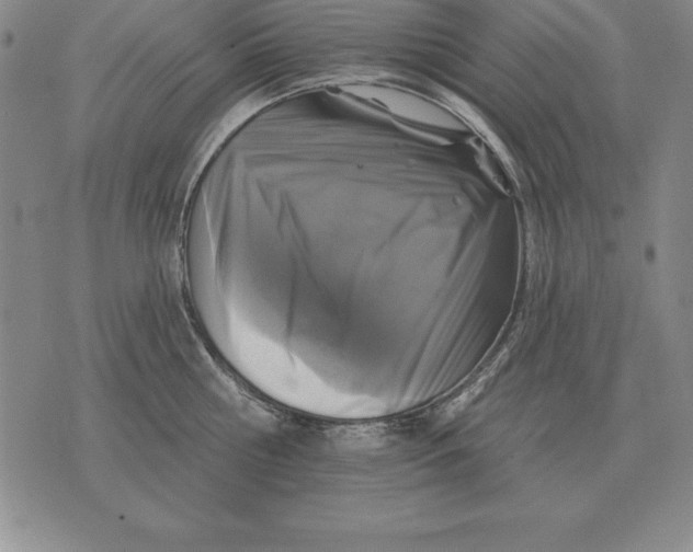 X0000076080810200610152251