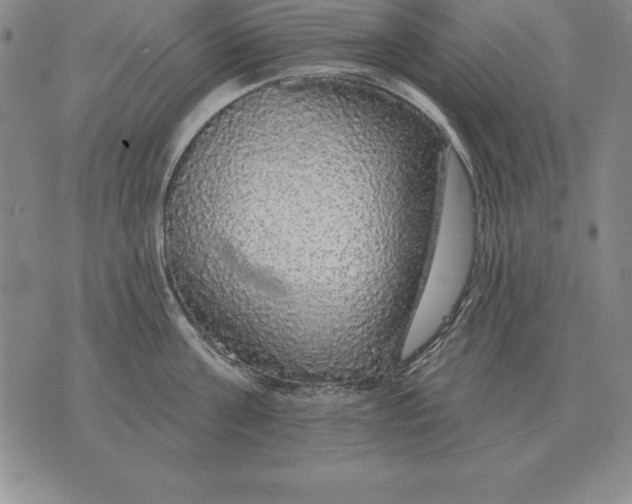 X0000076080811200610152251