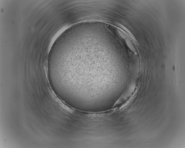 X0000076080812200610152251