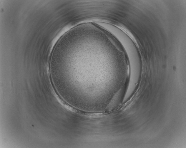 X0000076080813200610152251